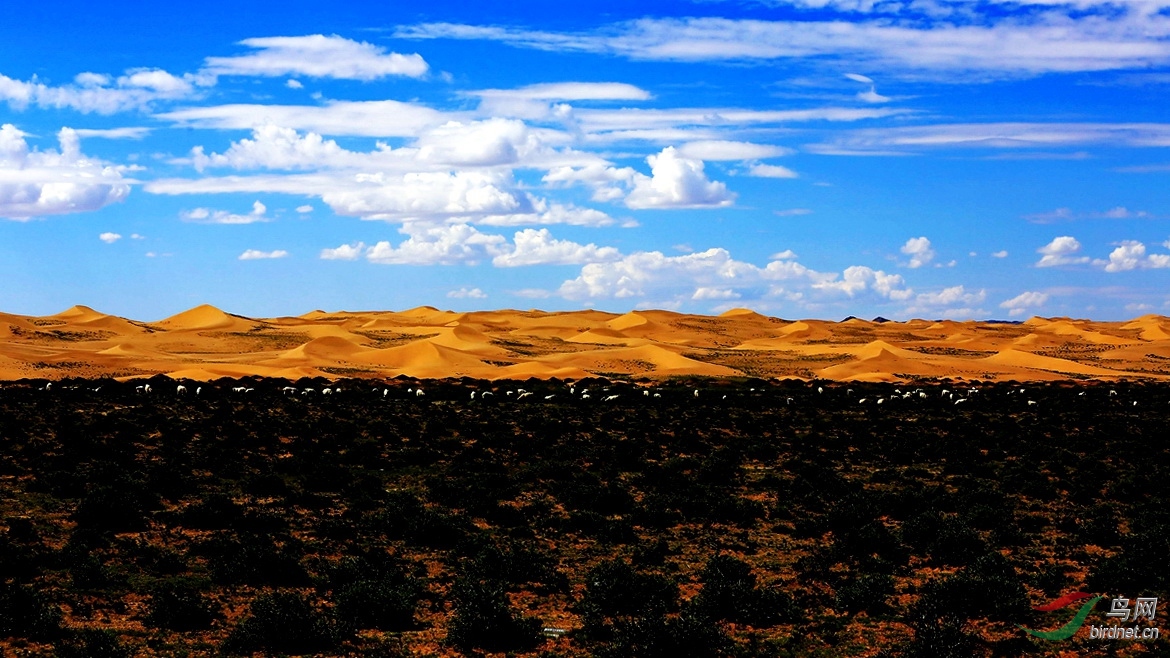 _96A0750.jpg
