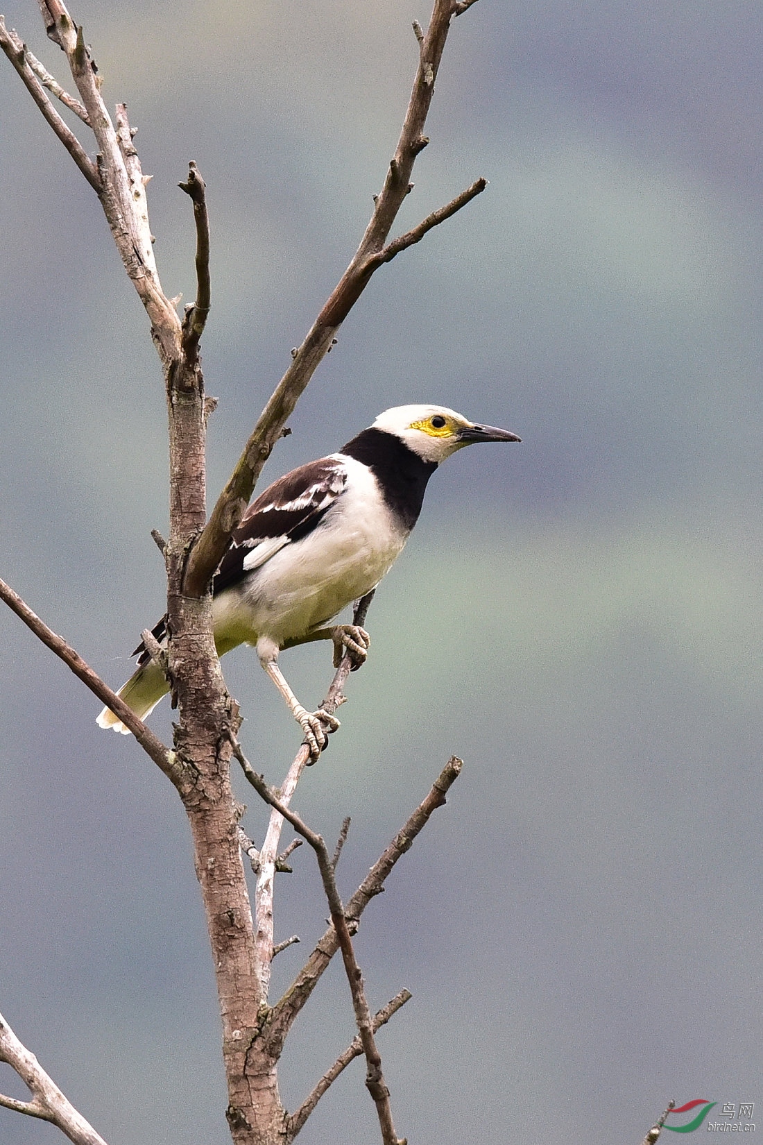 DSC_0393.JPG