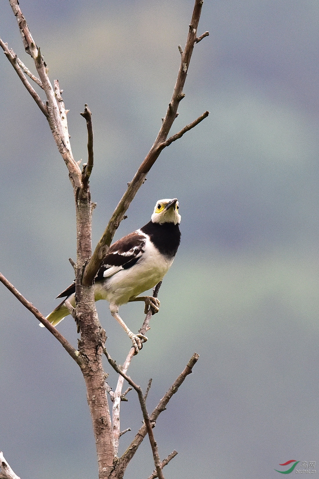 DSC_0394.JPG