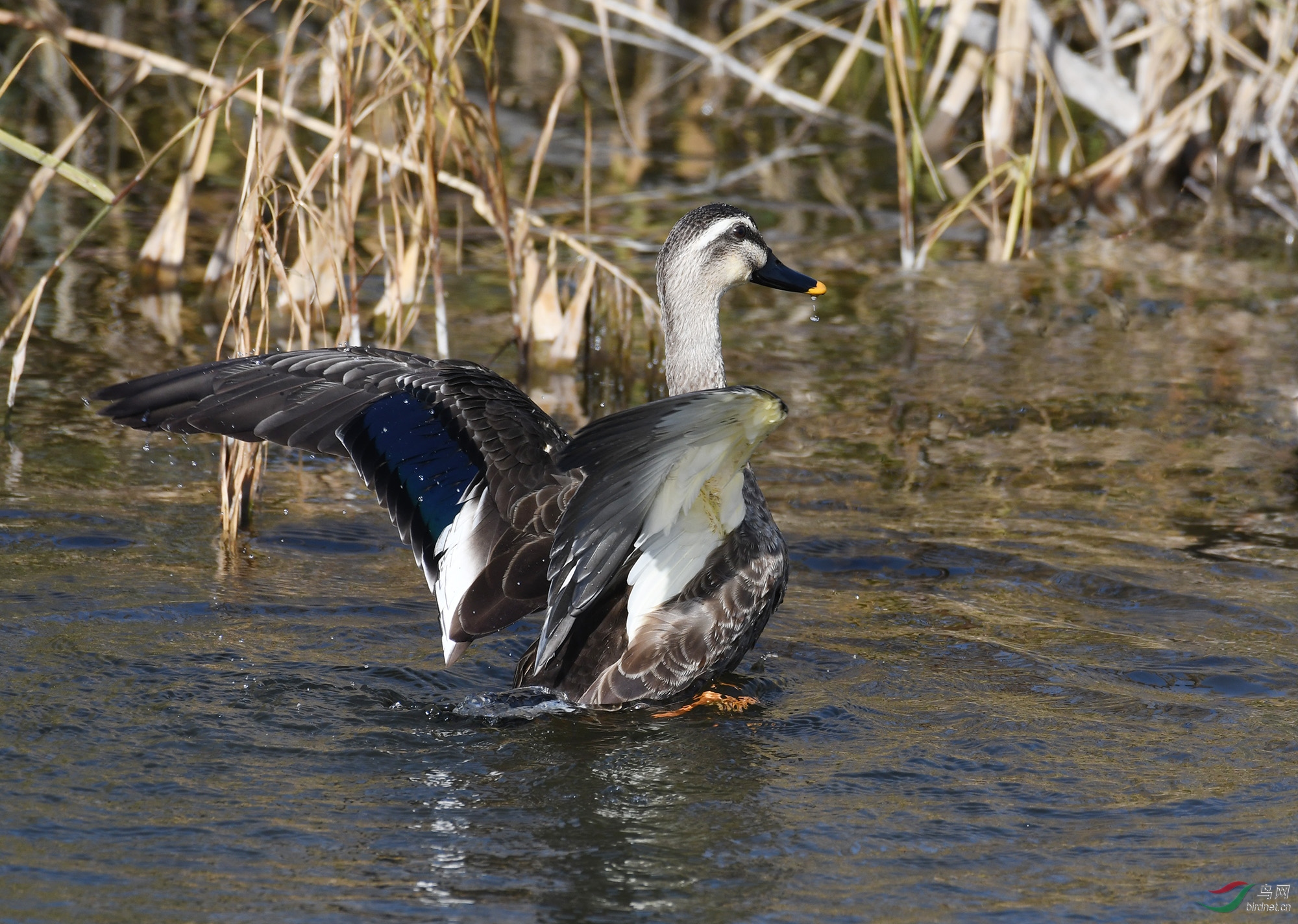 ������Ӱ 549����.jpg