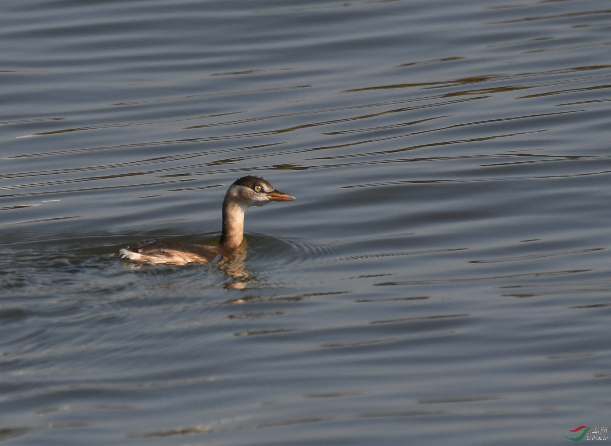 ������Ӱ 1051����.jpg