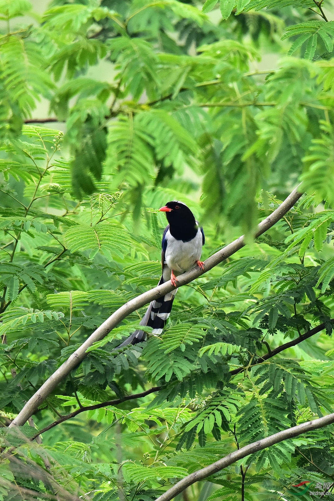DSC_0815.JPG