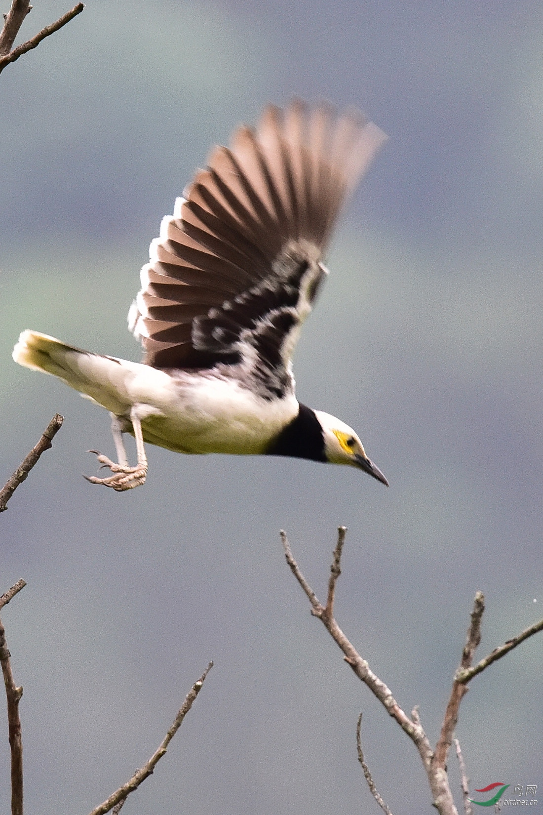 DSC_0395.JPG