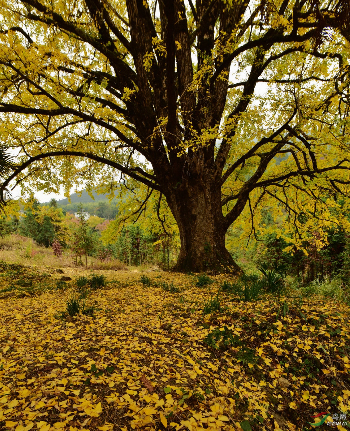 D8I_0026.jpg