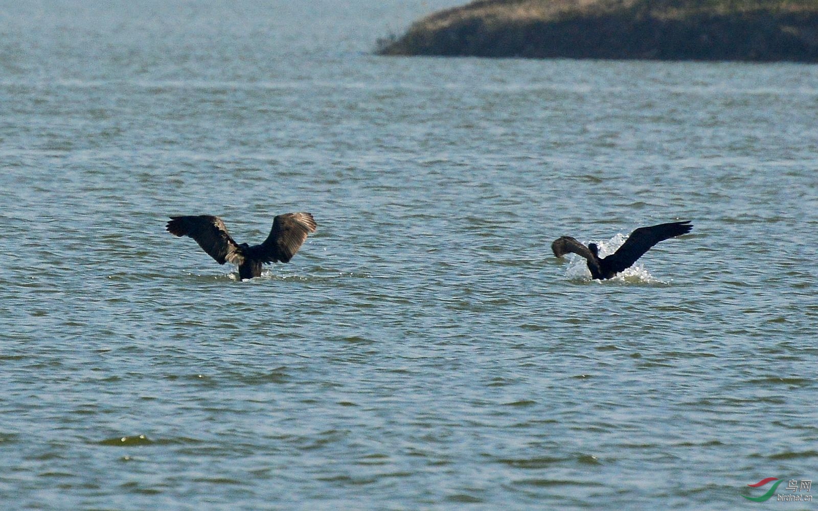 DSC_3378.JPG