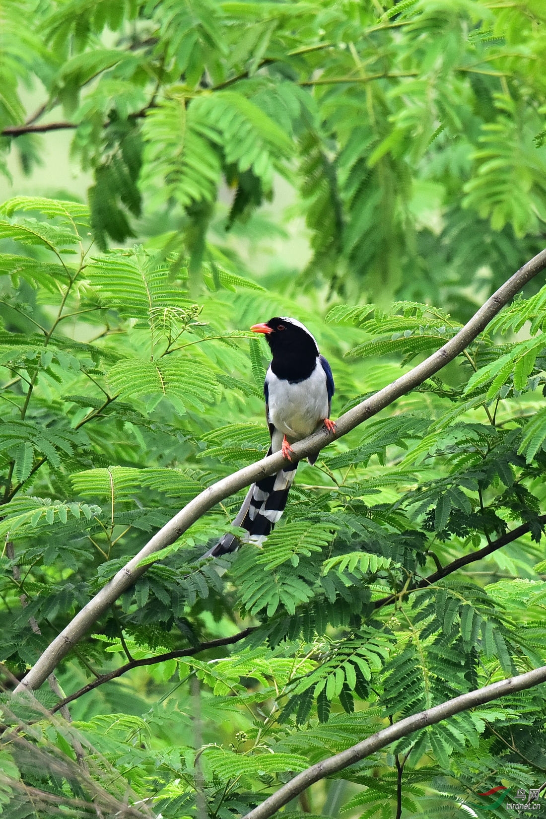 DSC_0820.JPG