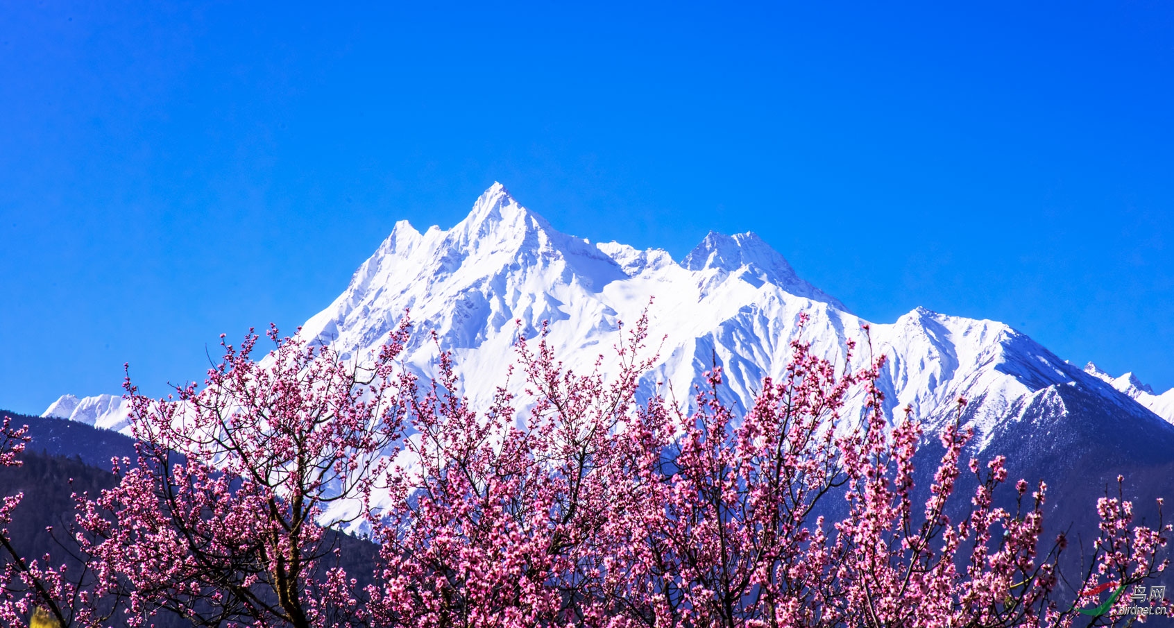_DSC9023-(3).jpg