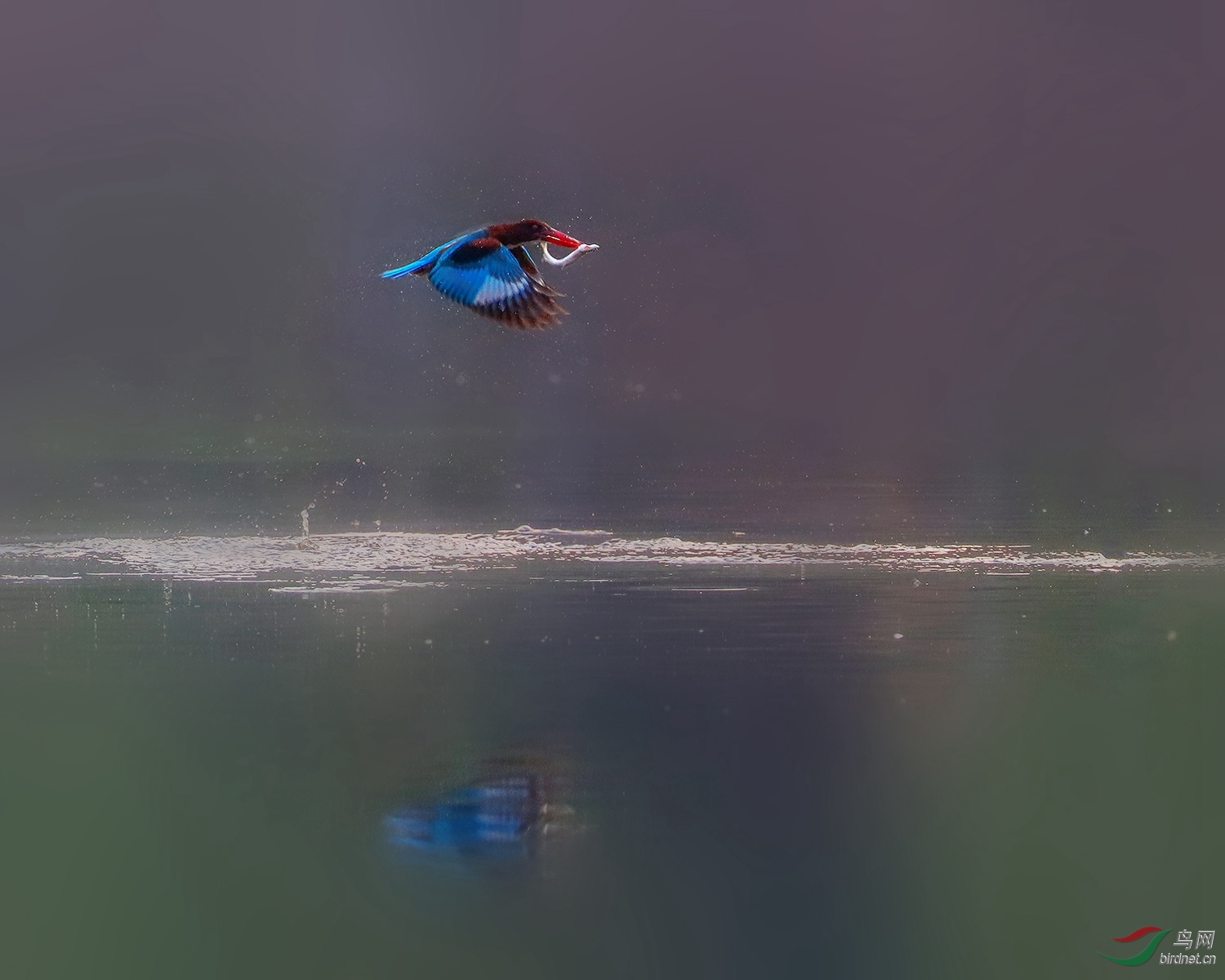 3983-100.jpg