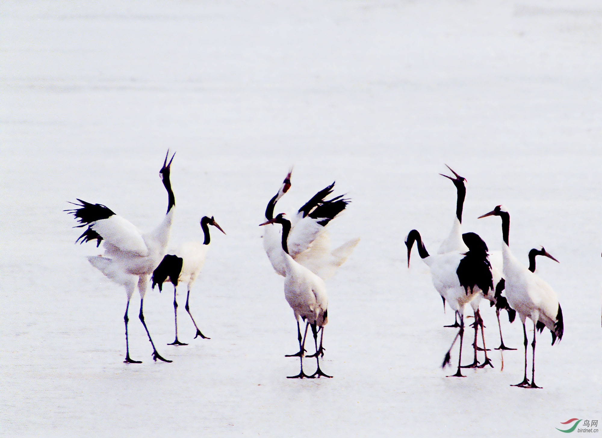 1998��3�������̽�  �Ͻ�Ƭ���� 1012.jpg