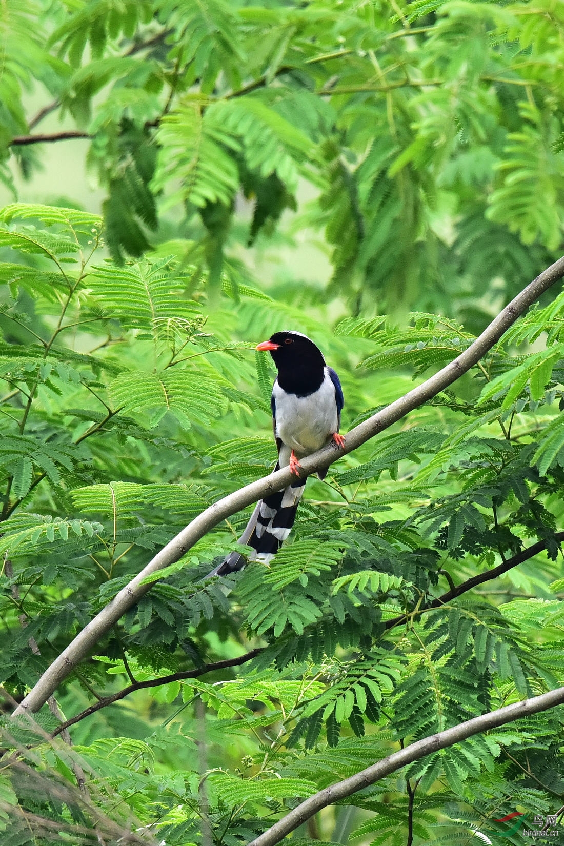 DSC_0821.JPG