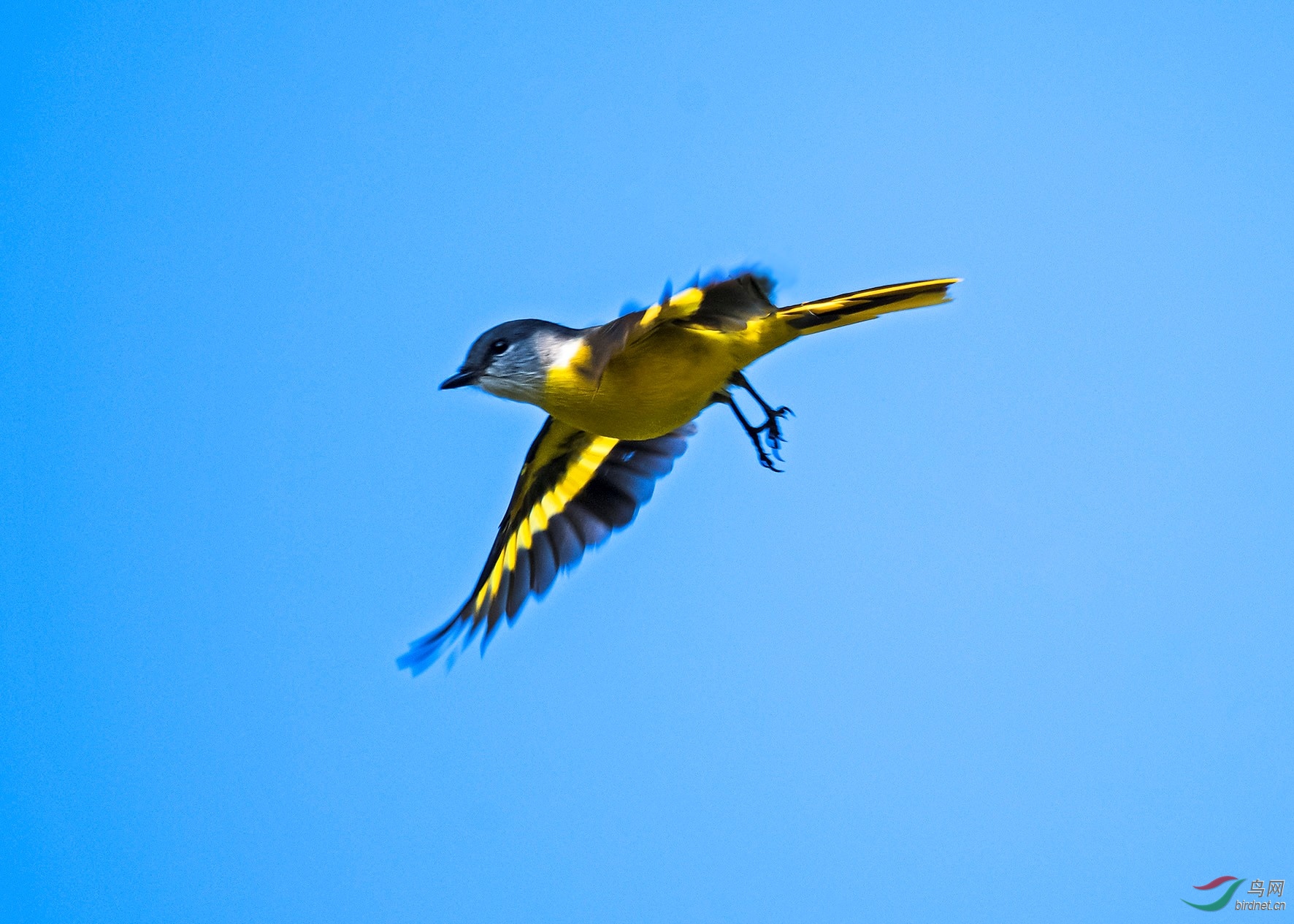 DSC_4510.jpg