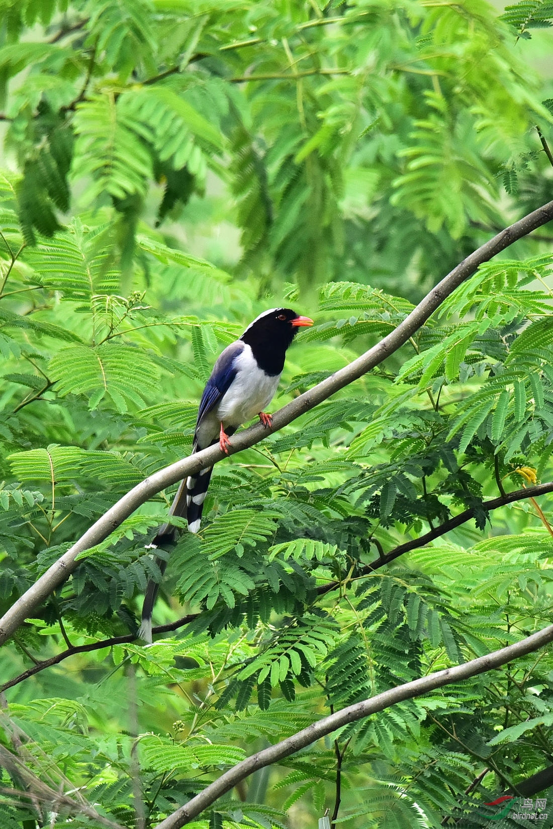 DSC_0823.JPG