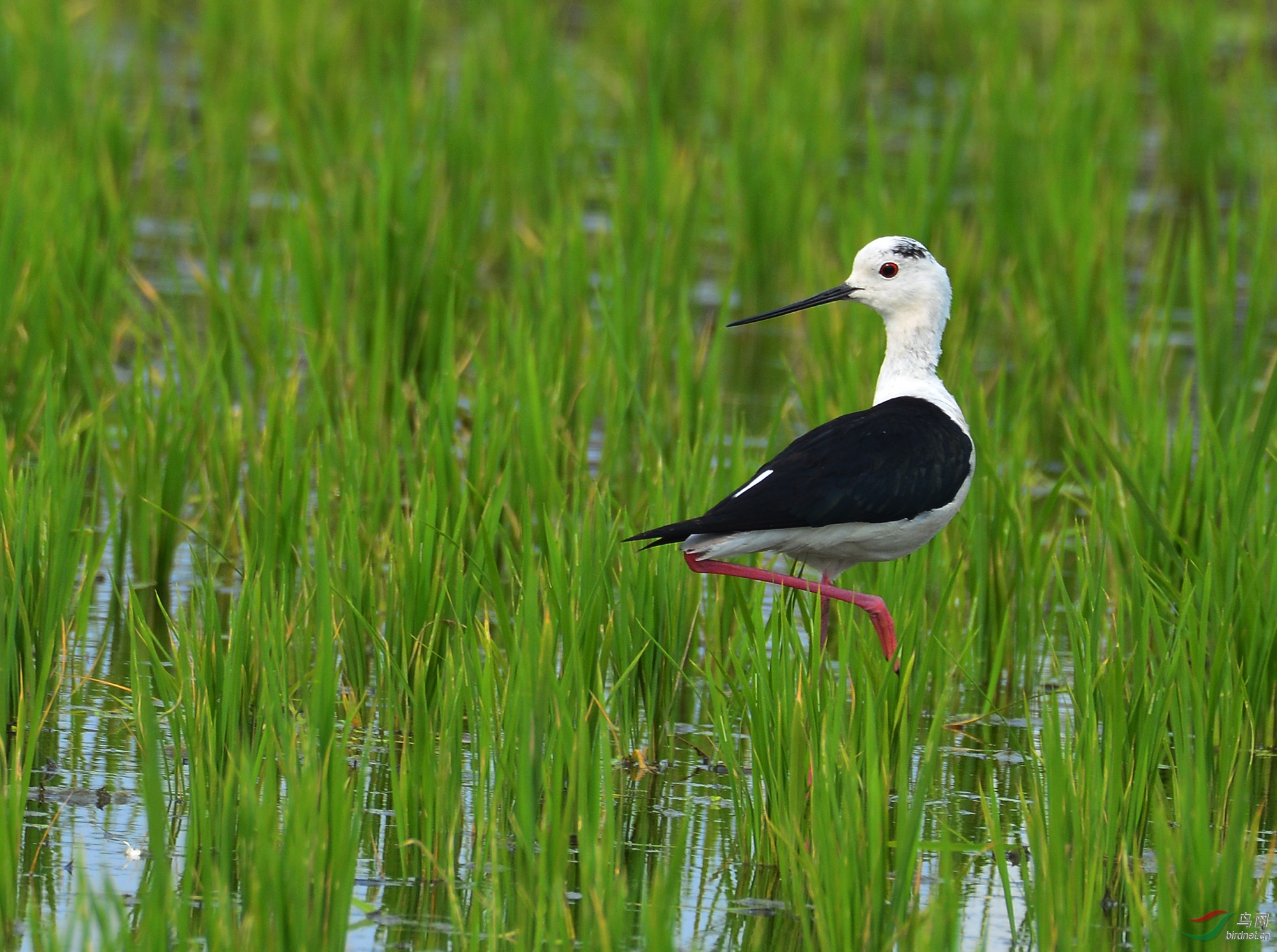 ������Ӱ 093����.jpg