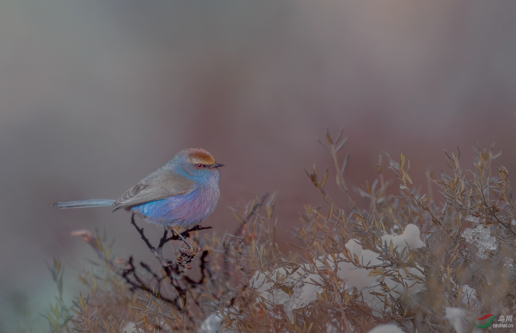 DSC_6756---3.jpg