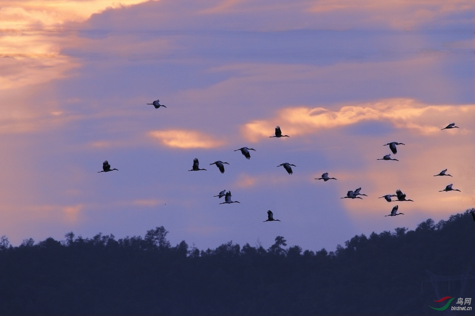 IMG_3794 - ����.JPG