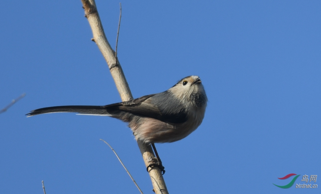 DSC_6754.JPG
