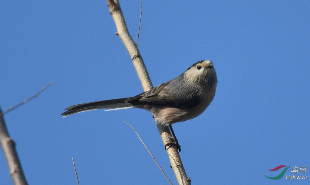 DSC_6757.JPG
