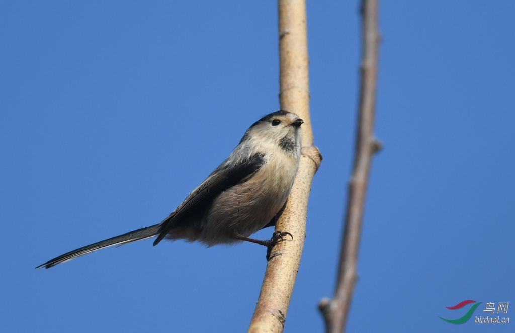 DSC_6765.JPG