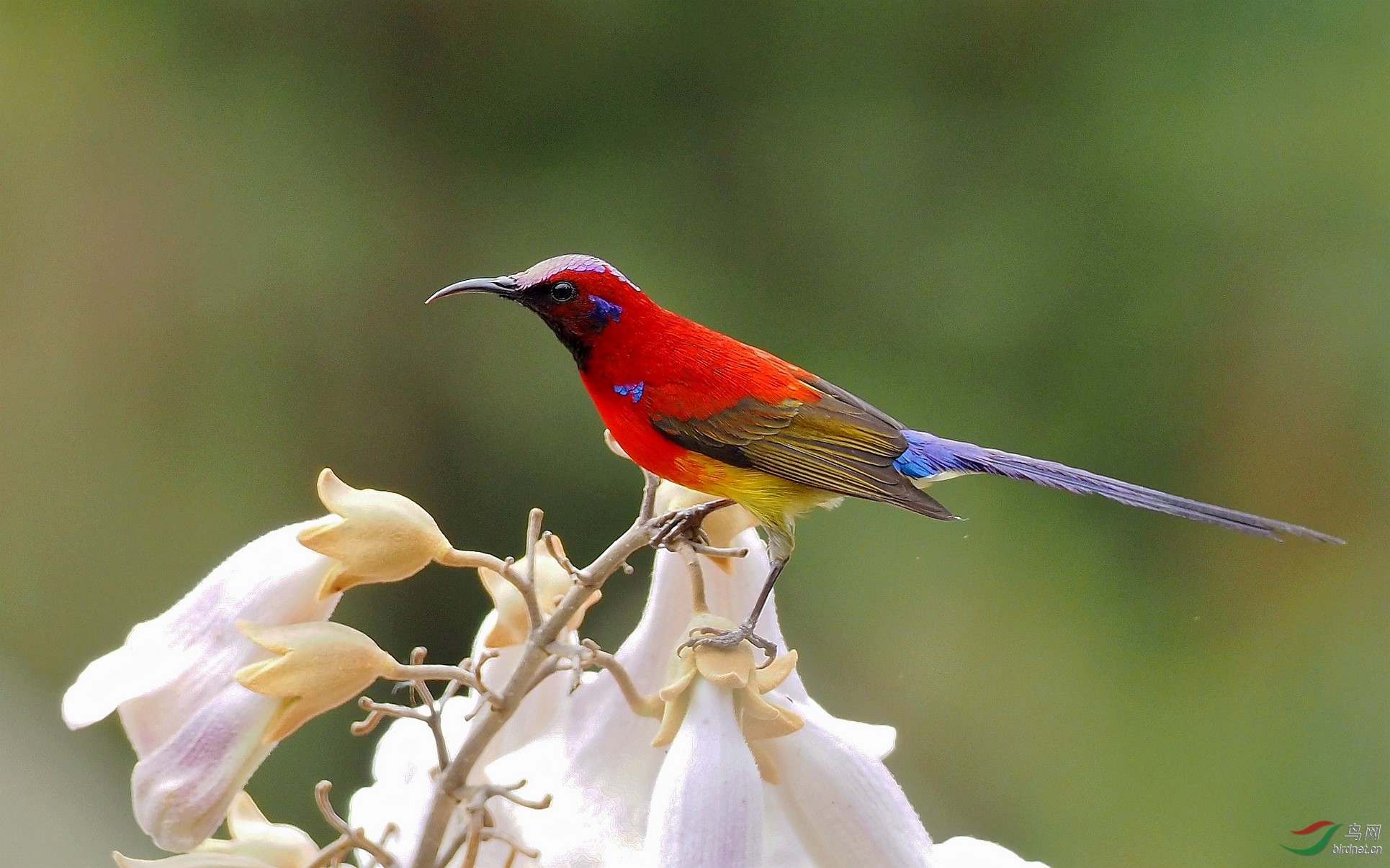 P3315204_����_DxO (����).jpg