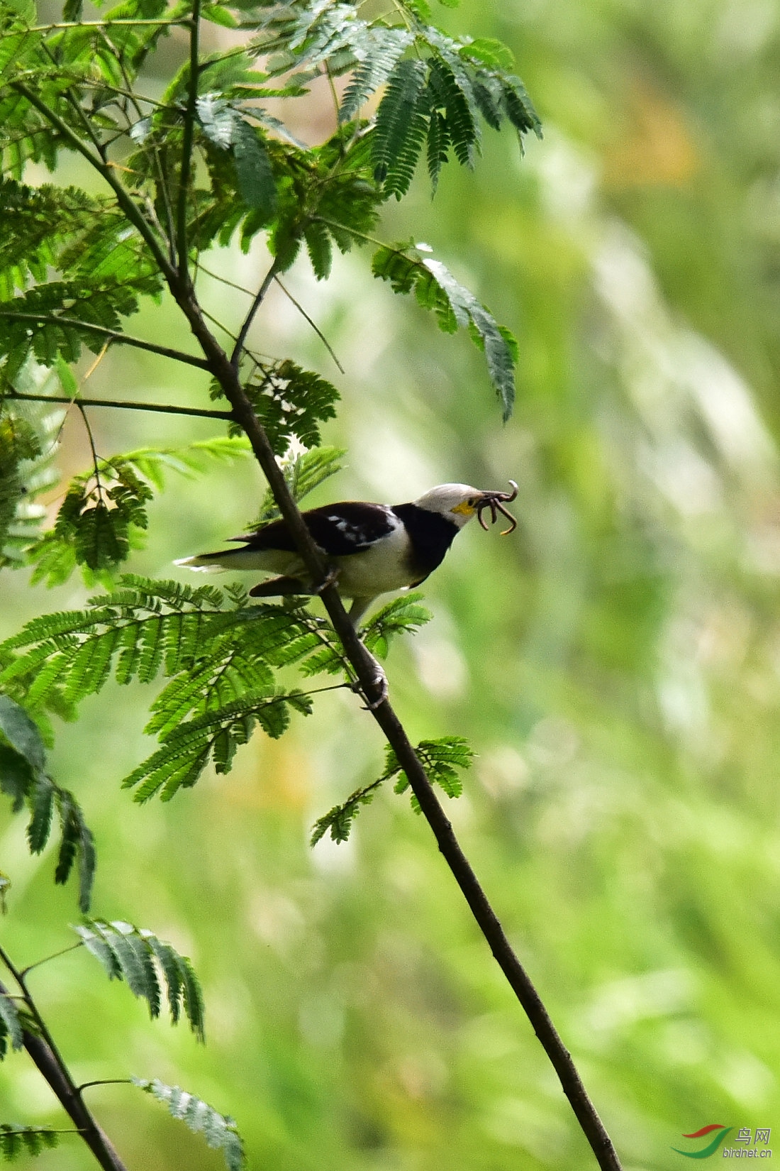 DSC_0406.JPG