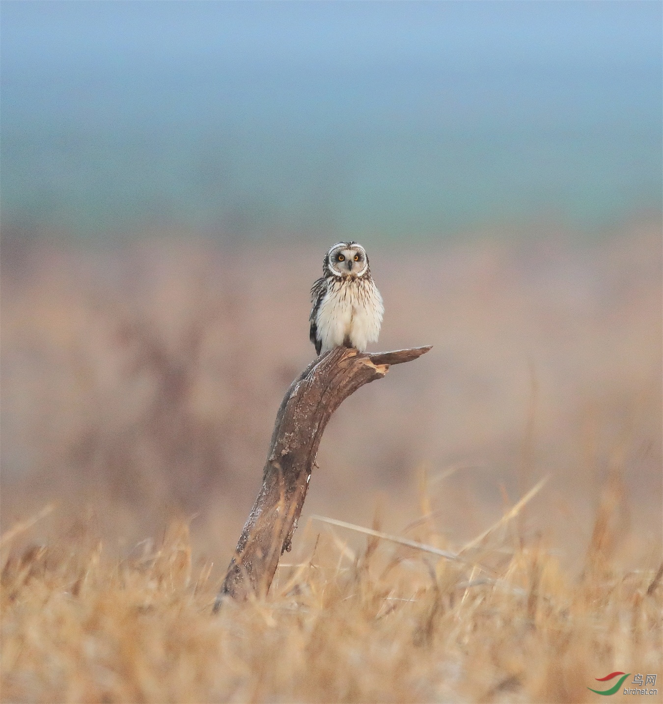 21 - ����.JPG