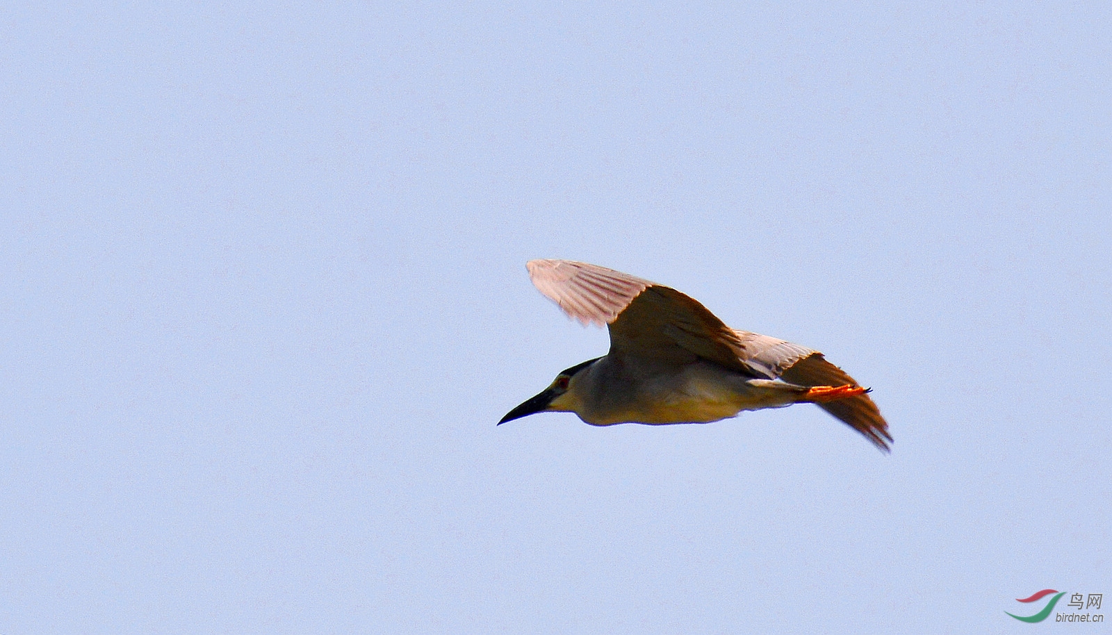 DSC_1018.JPG