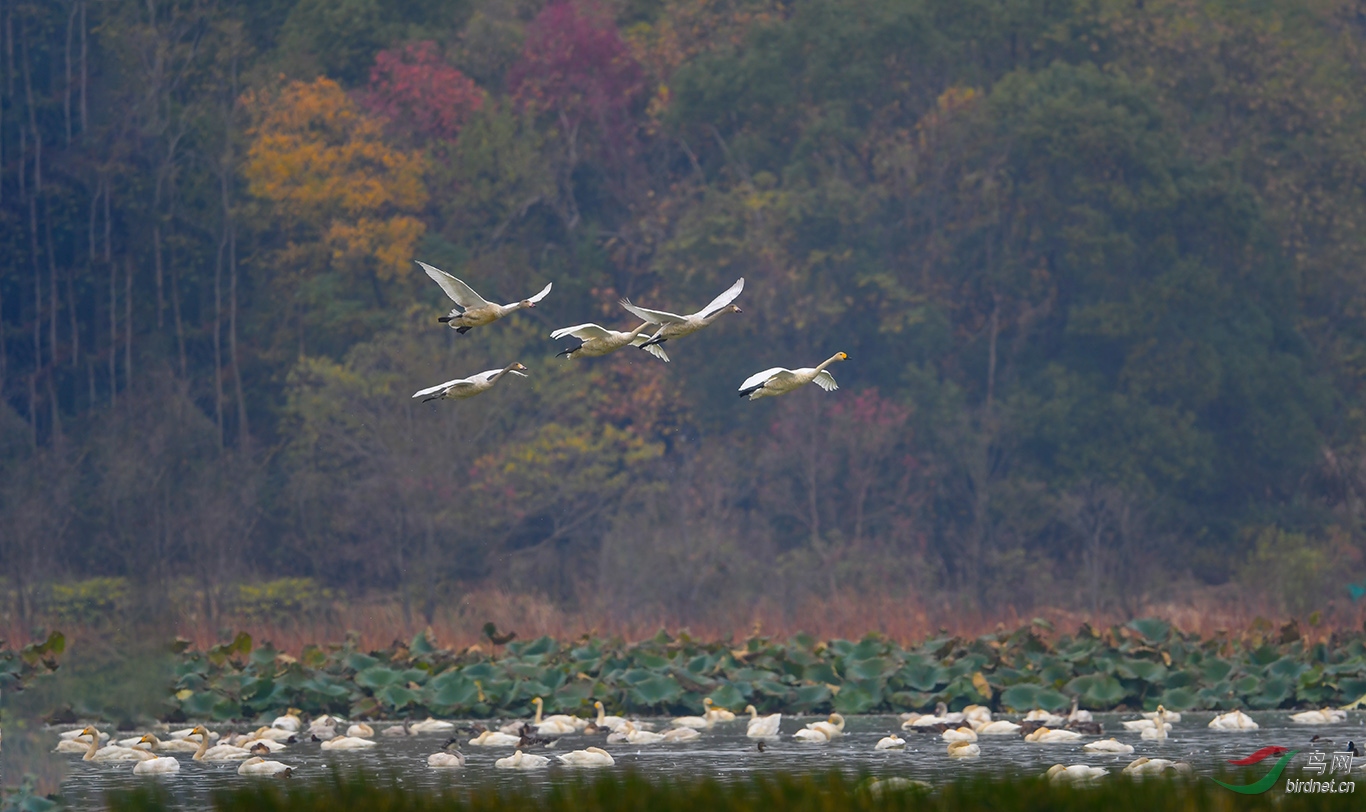 DSC_2285.JPG