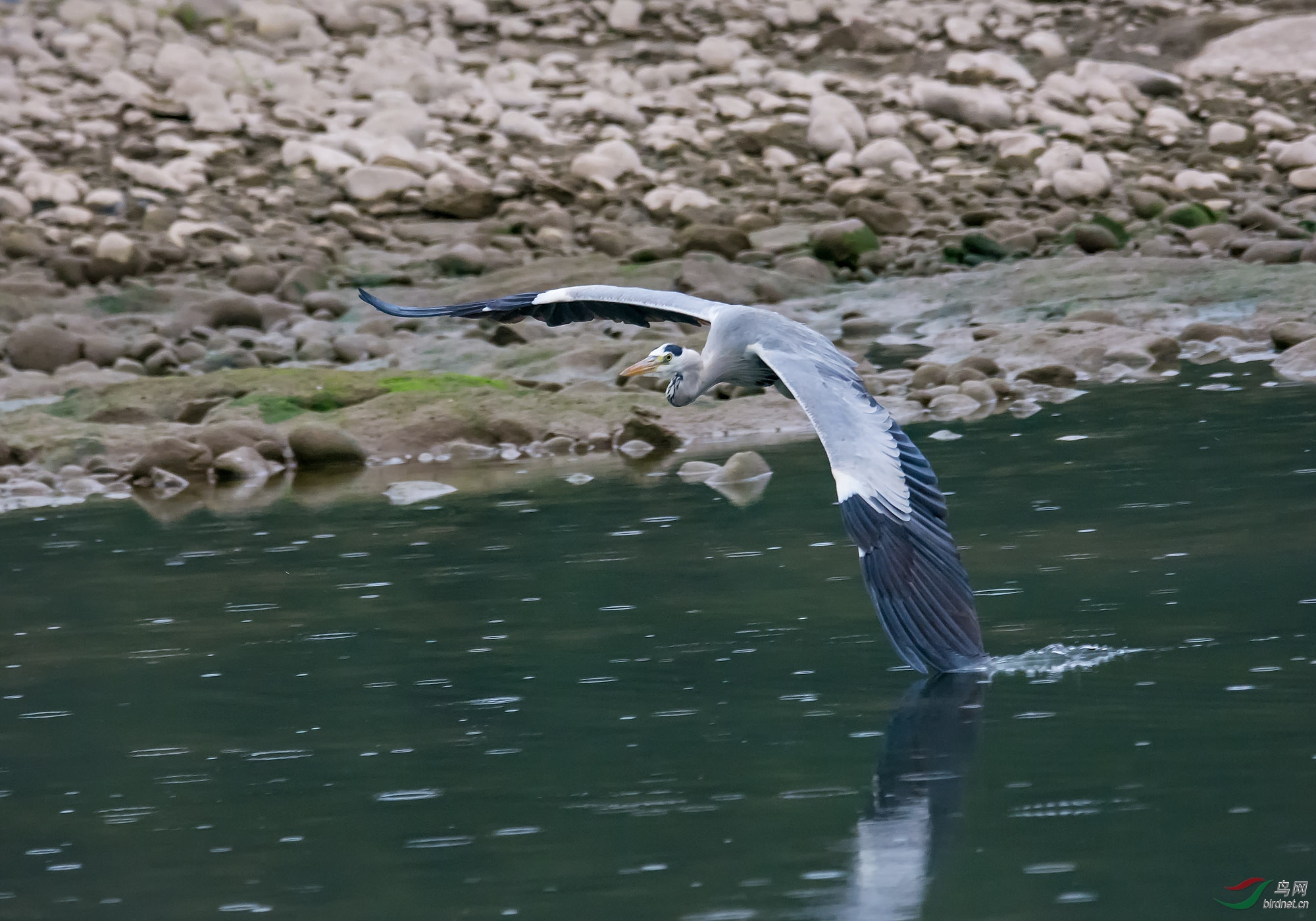 DSC_5453.jpg