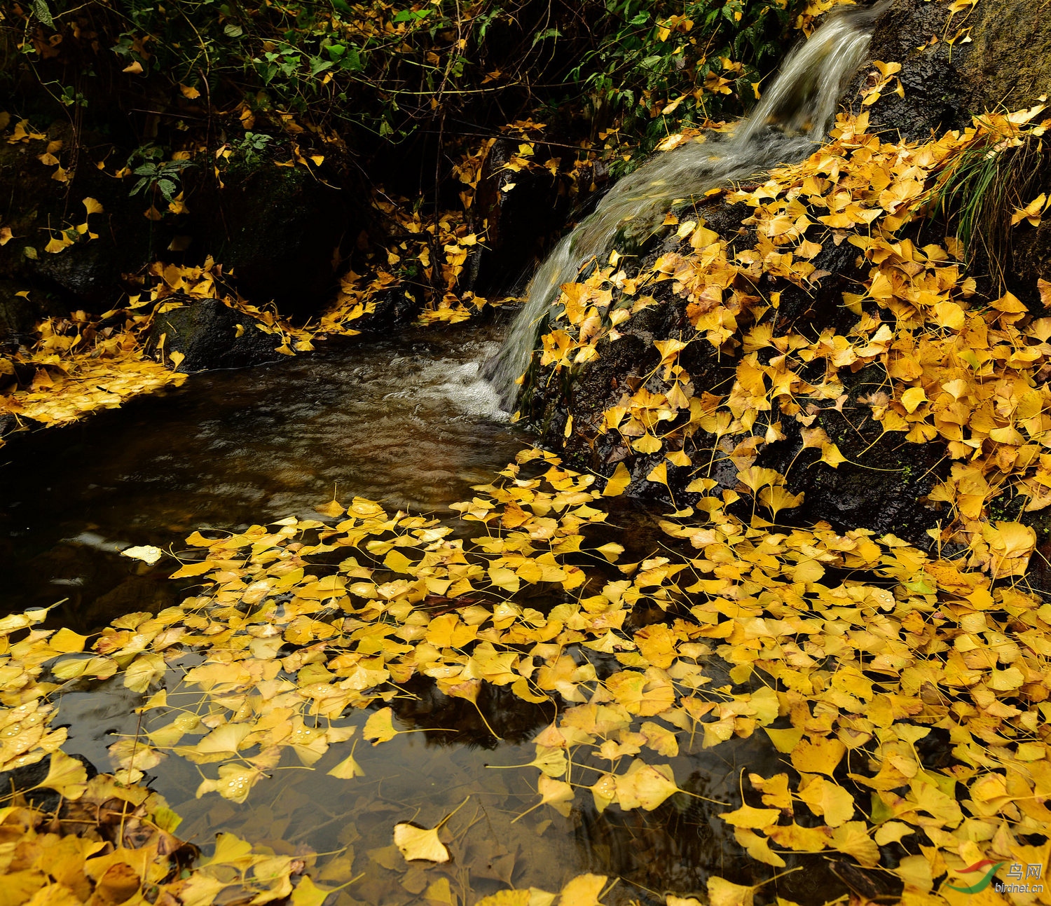 D8I_0220.jpg