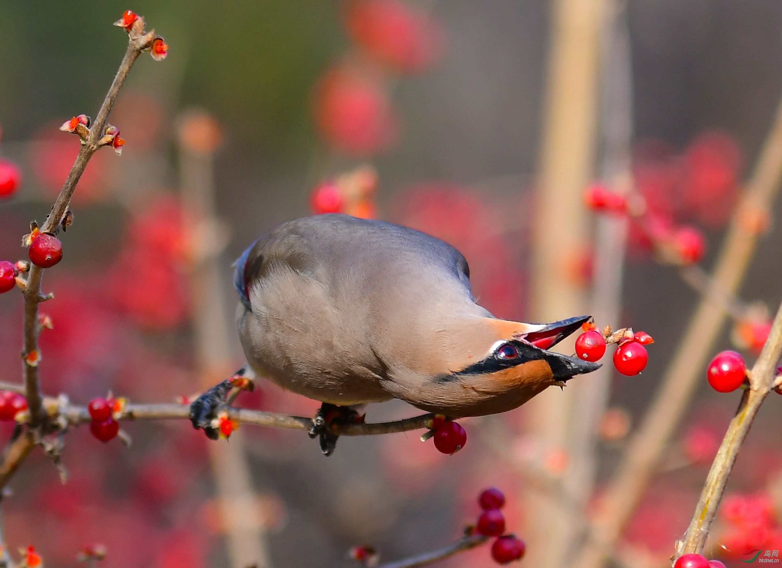 DSC_6062.JPG