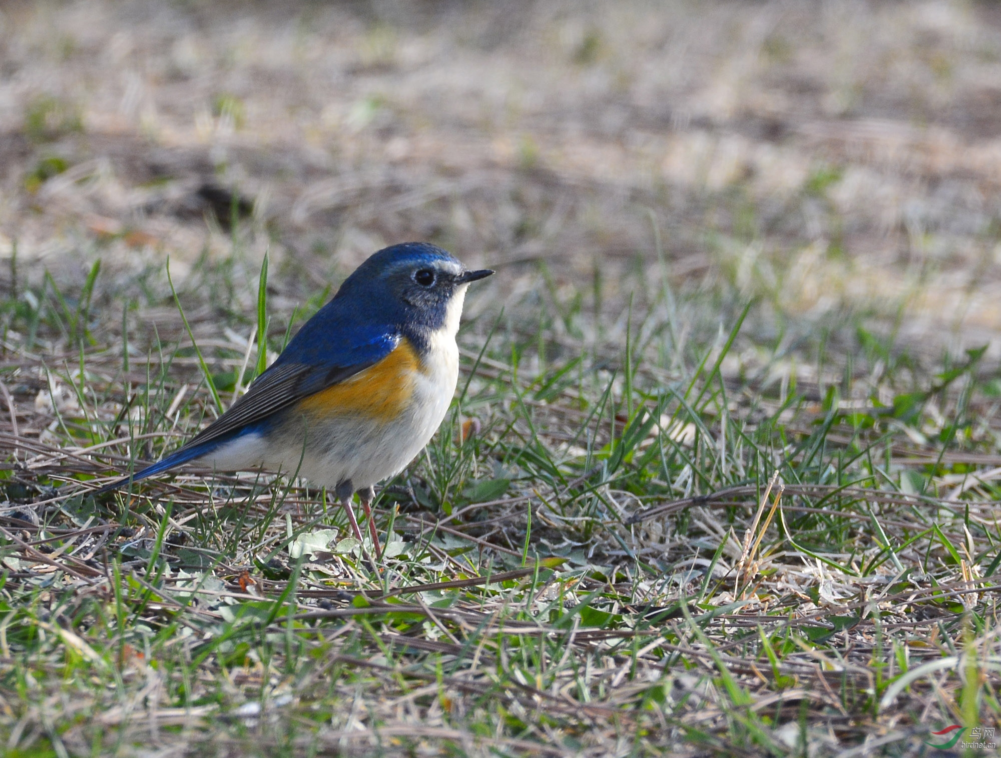 ������Ӱ 450����.jpg