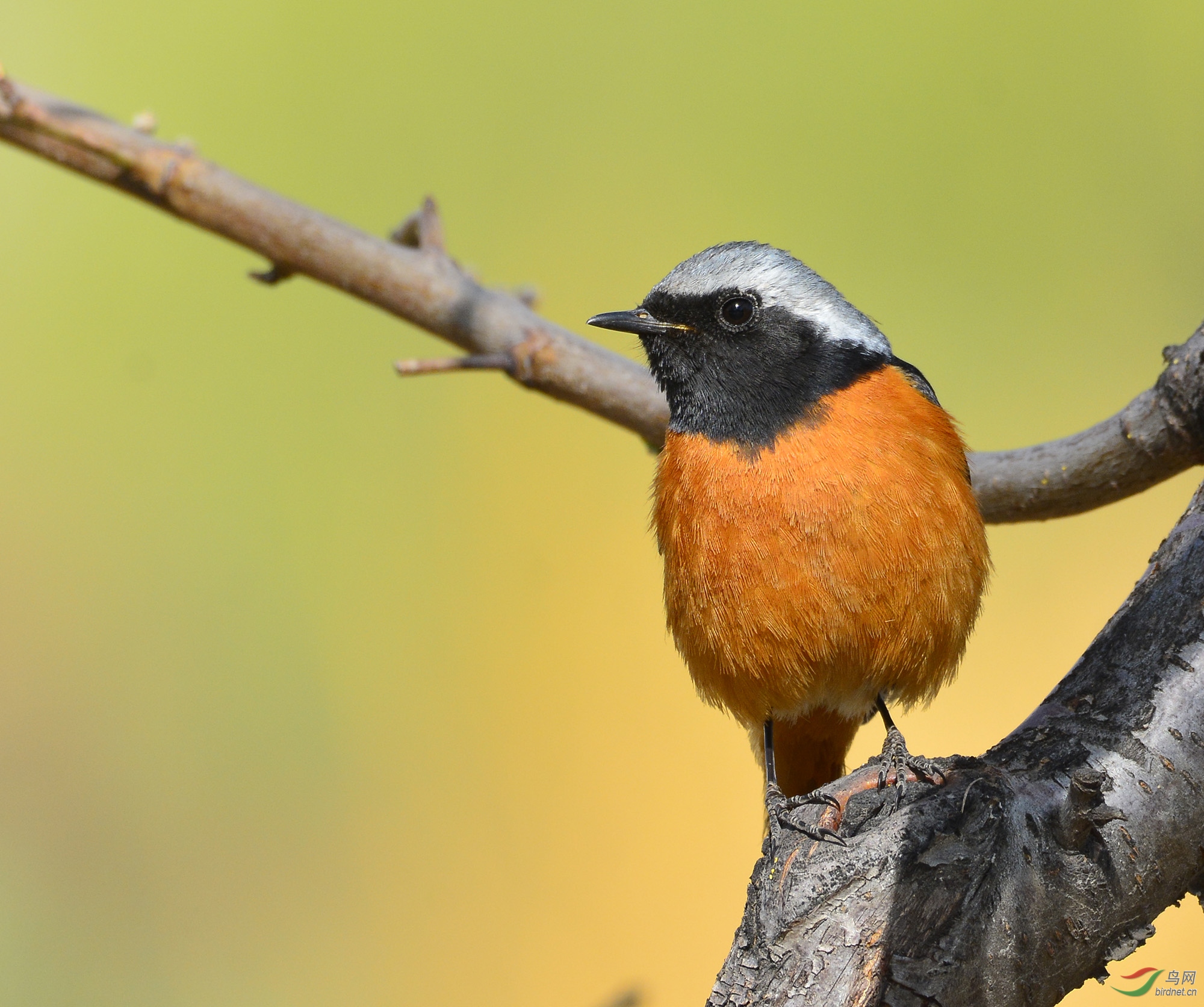 ������Ӱ 543����.jpg