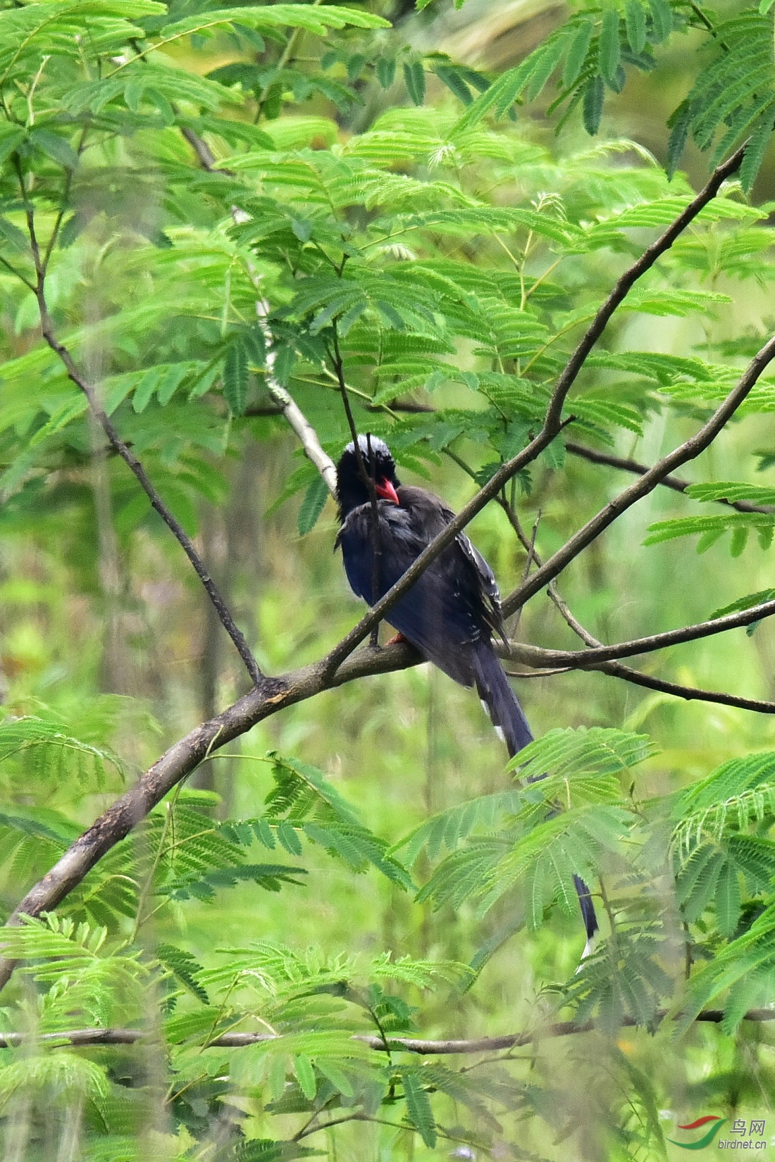 DSC_0832.JPG