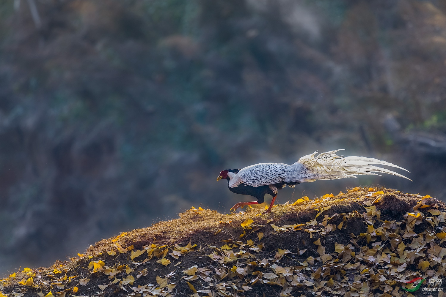 _DSC4301-2.jpg