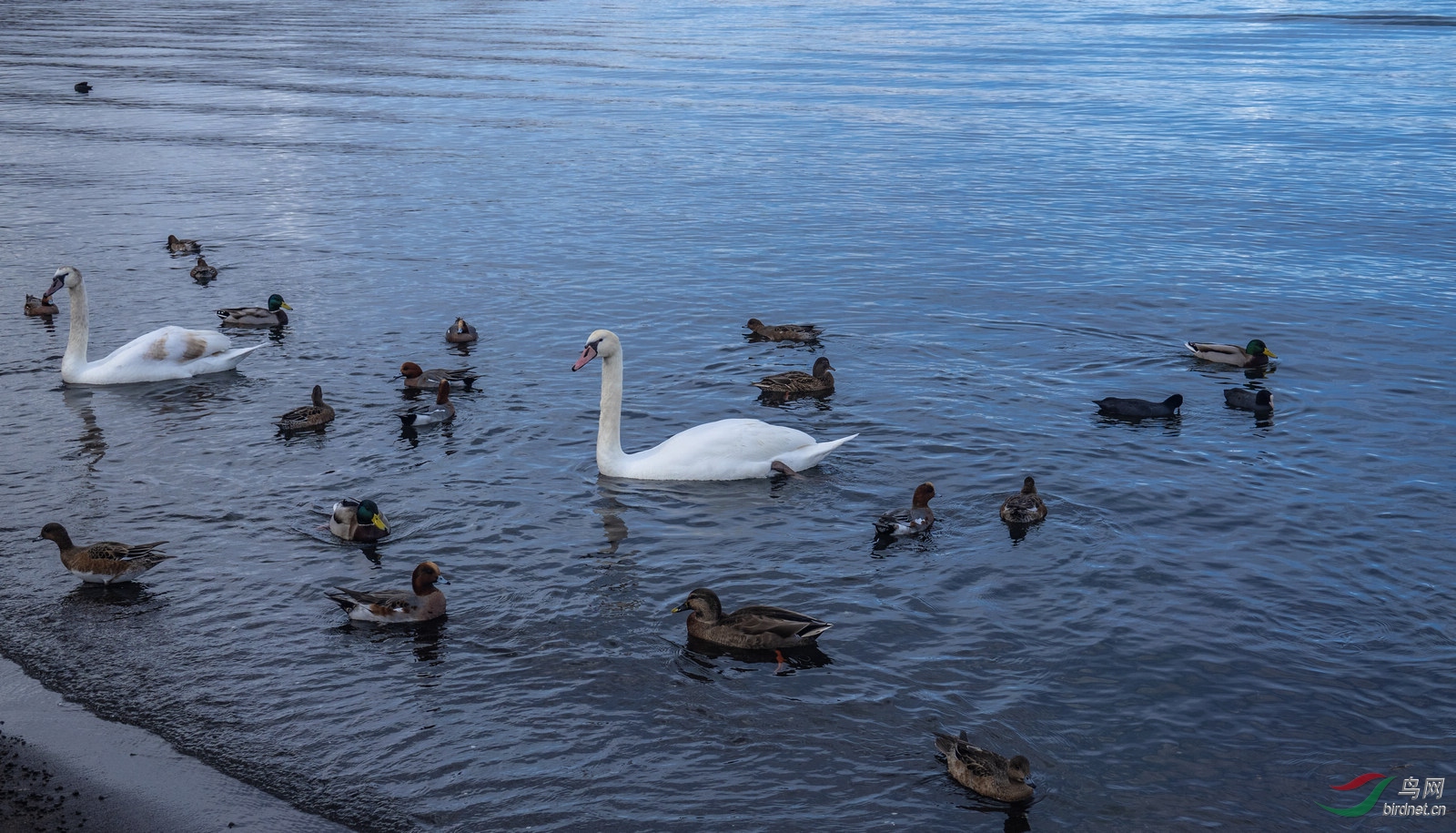 DSC00418raw1.jpg