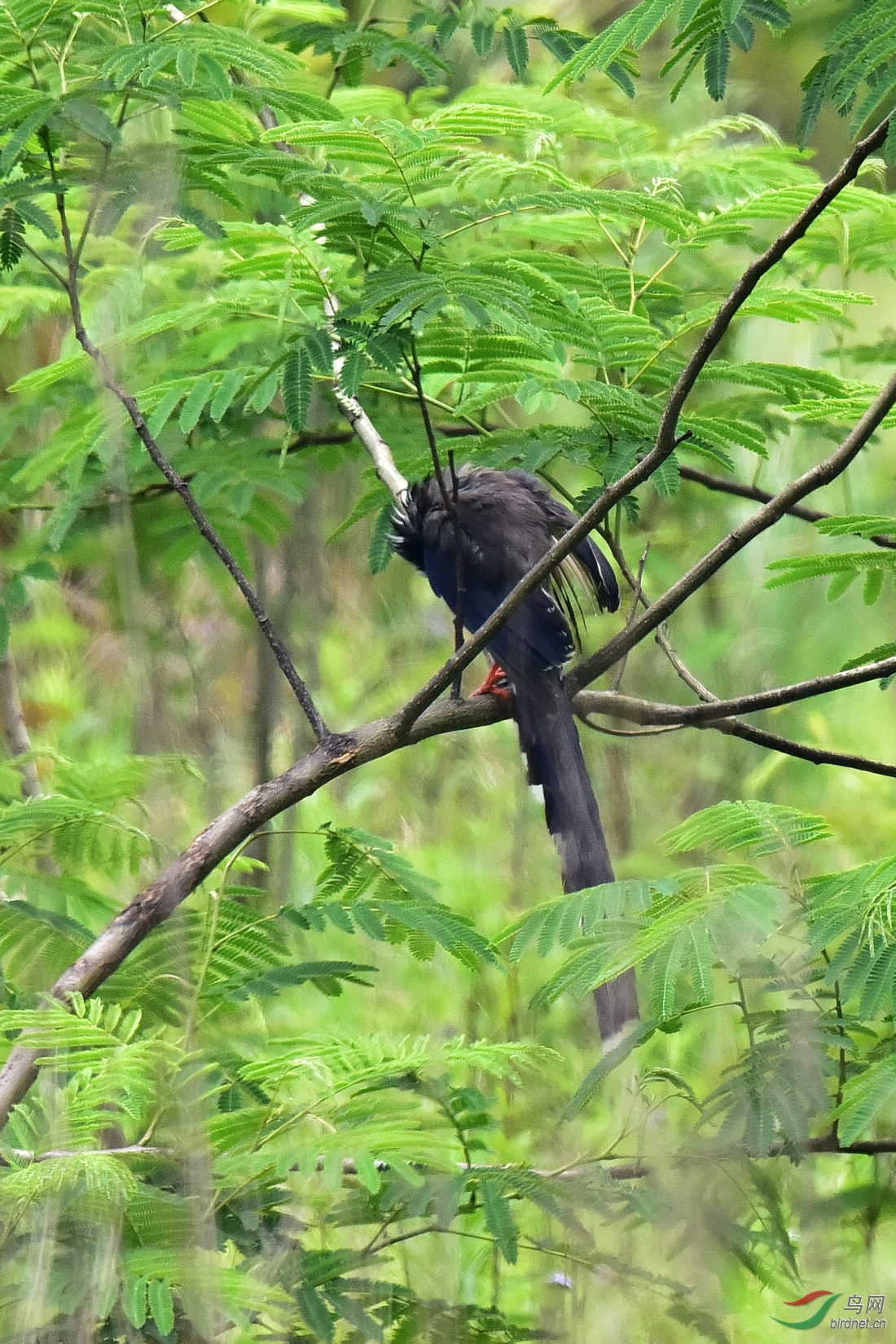 DSC_0834.JPG