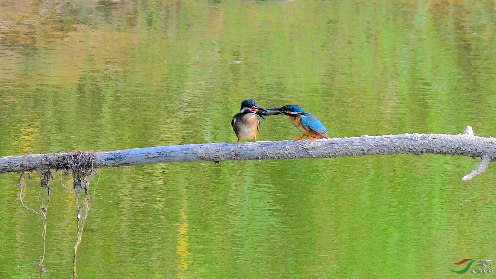 DSC_6101.JPG