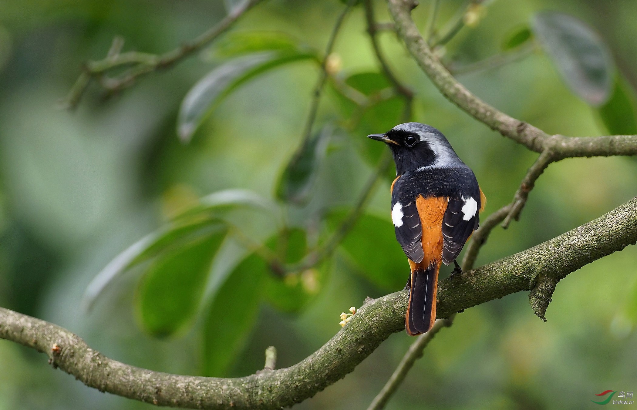 PA223726_����_DxO (����).jpg