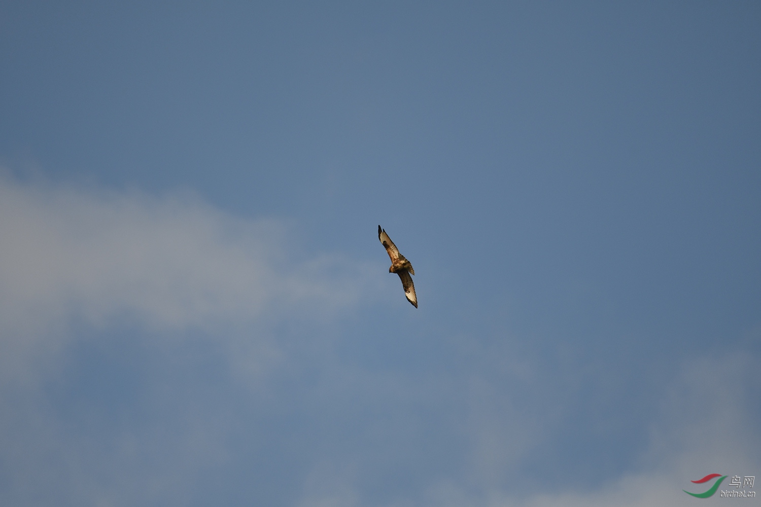 DSC_0797.jpg