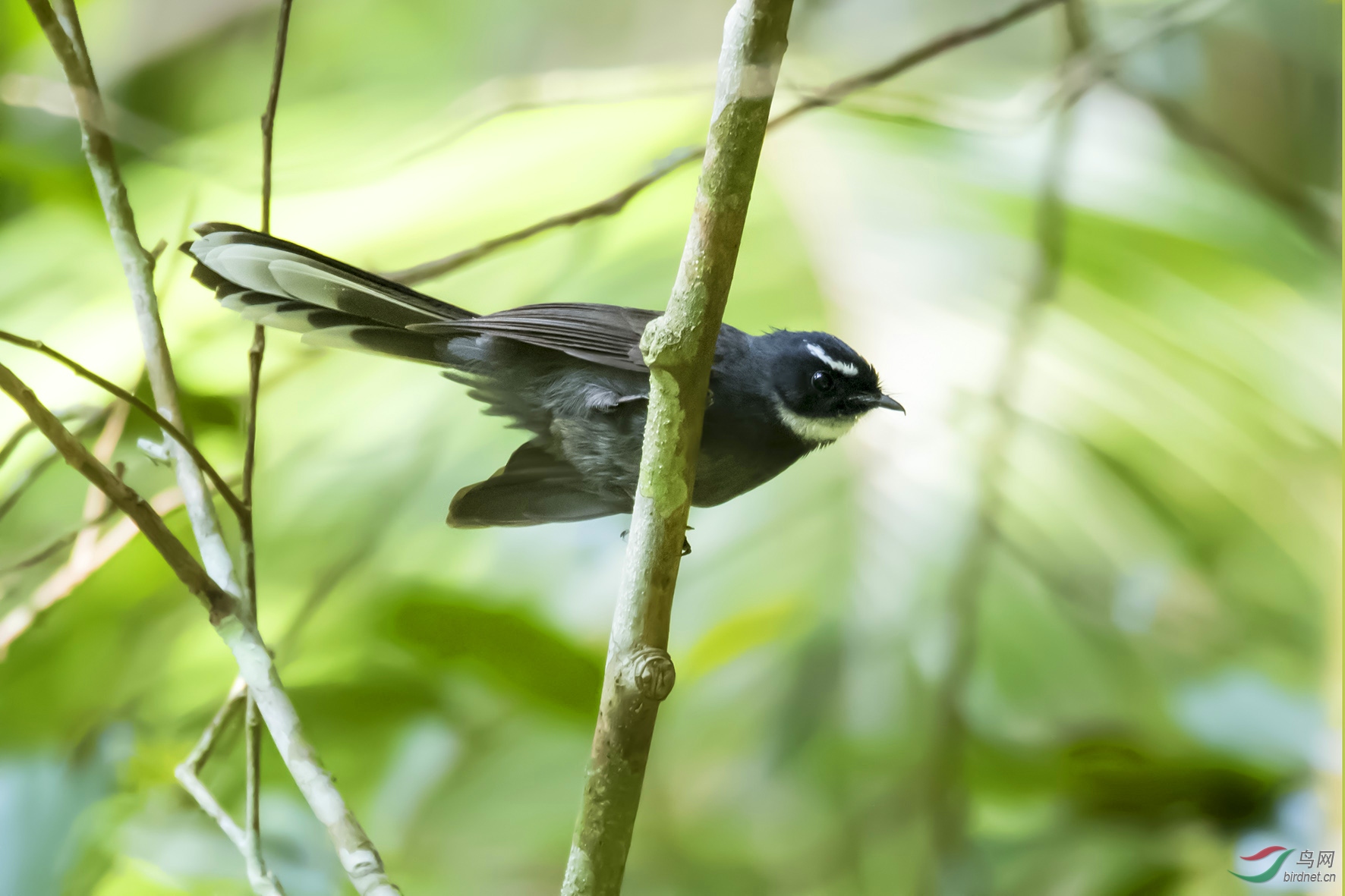 DSC_5373.jpg