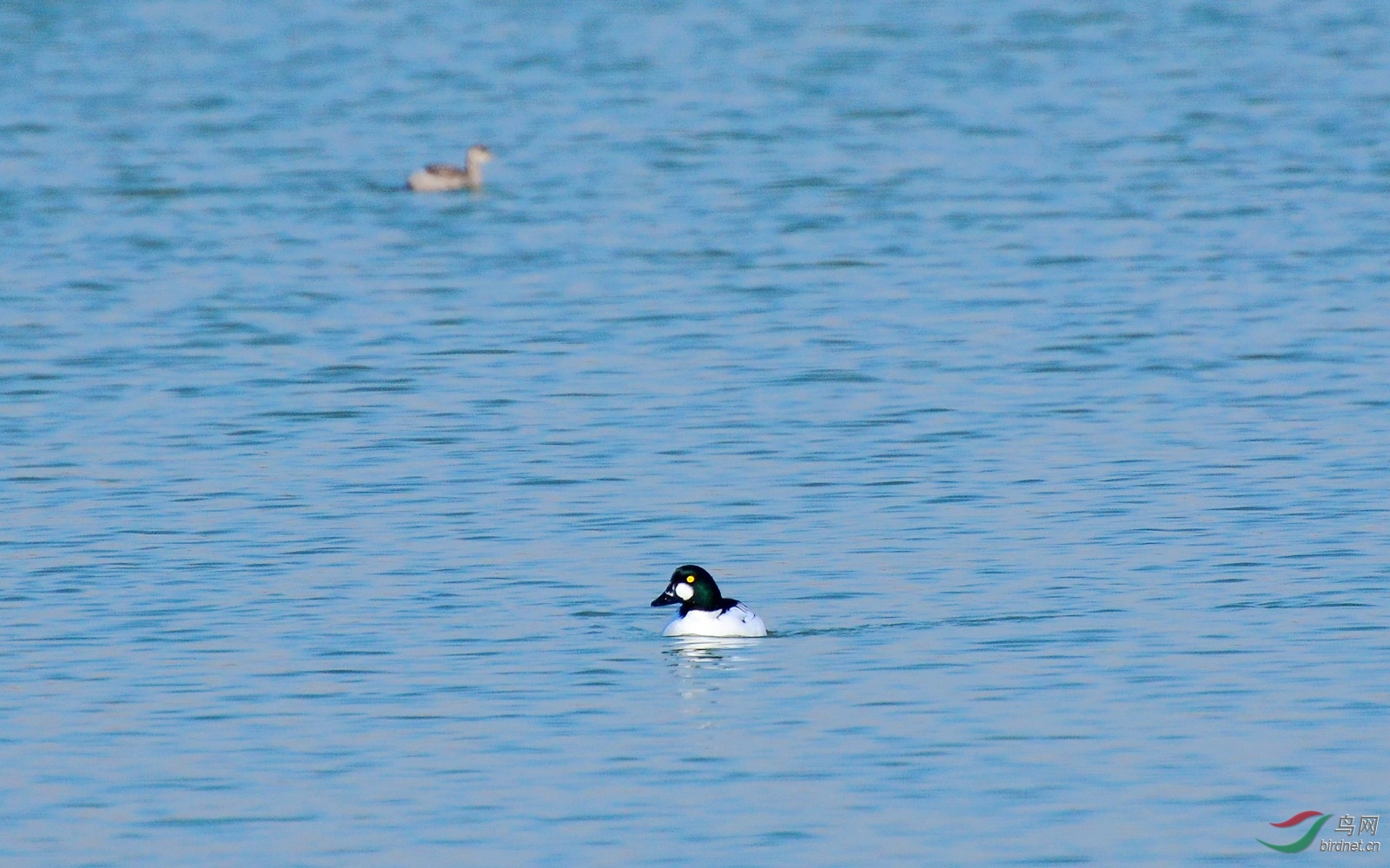 DSC_6495.JPG