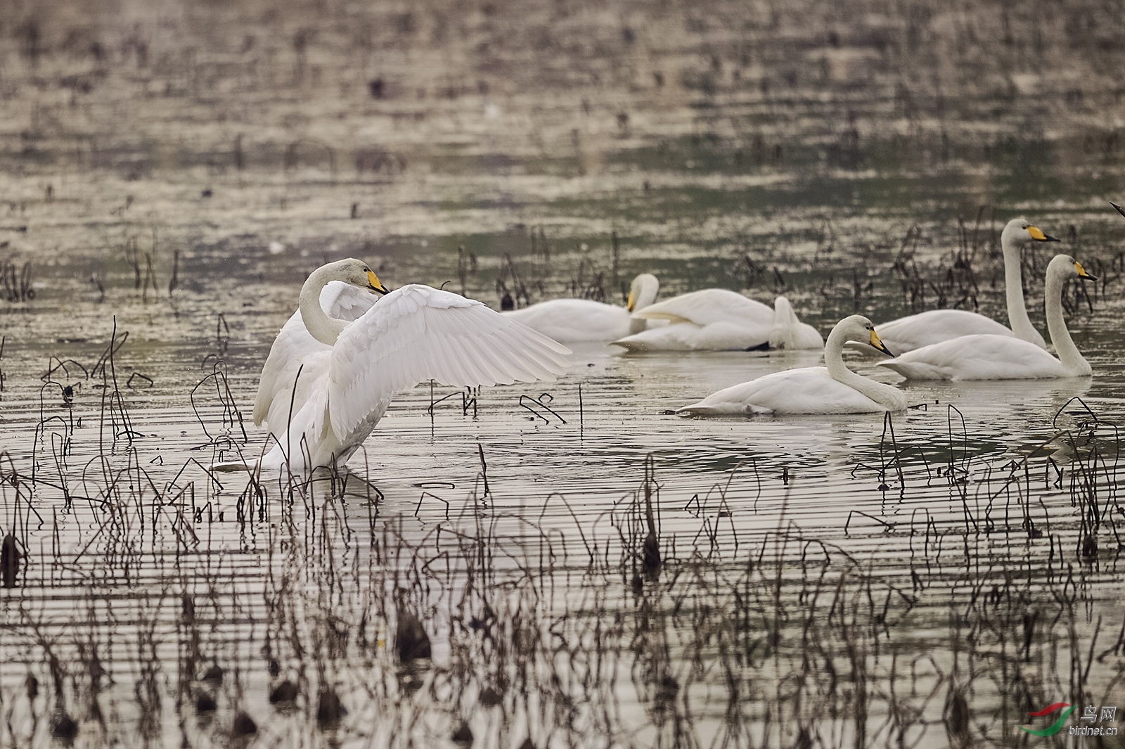 _D4S4190_13705a.jpg
