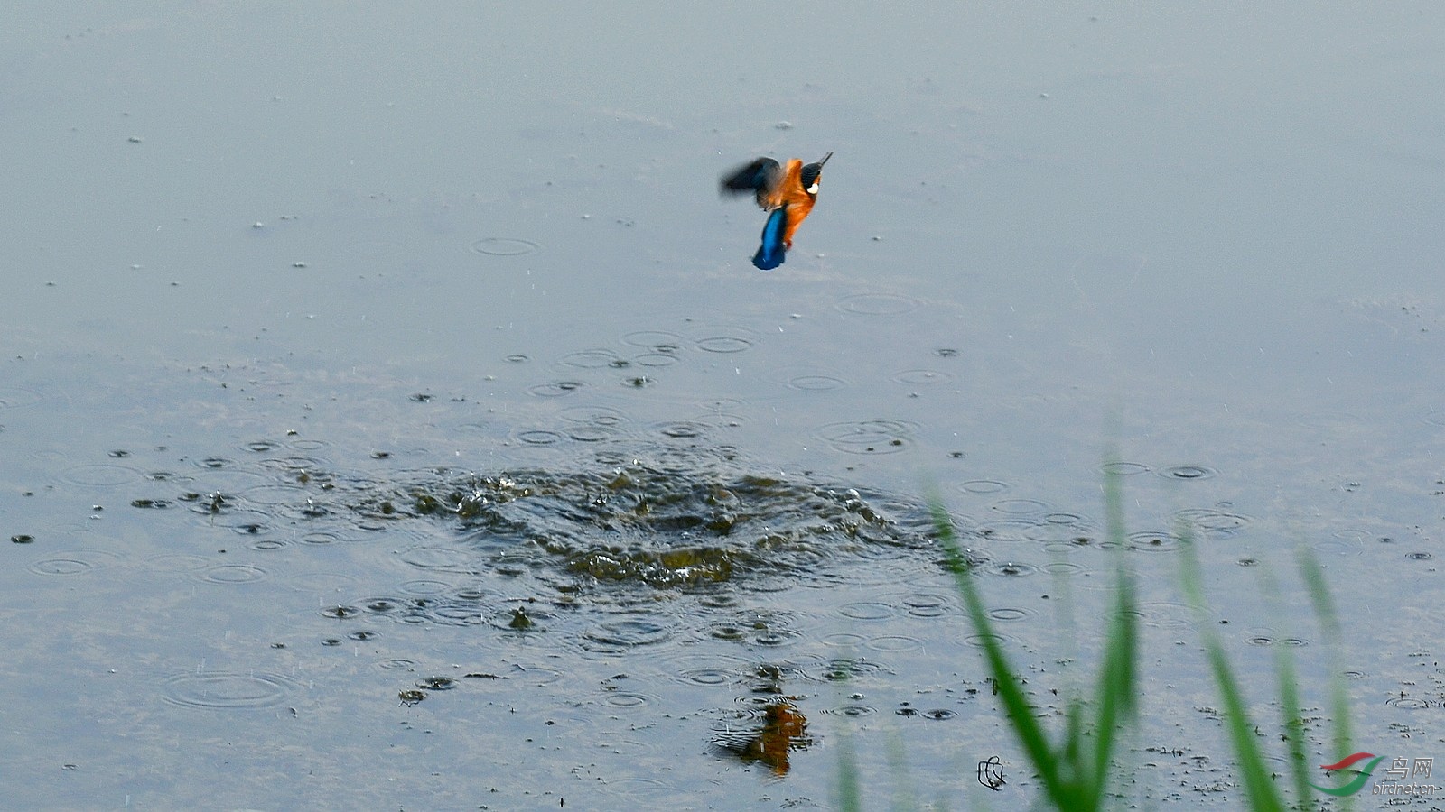 DSC_6133.JPG