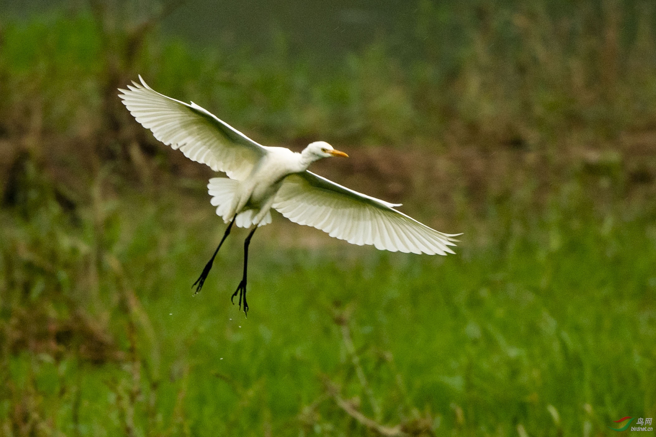 D50_5093.jpg