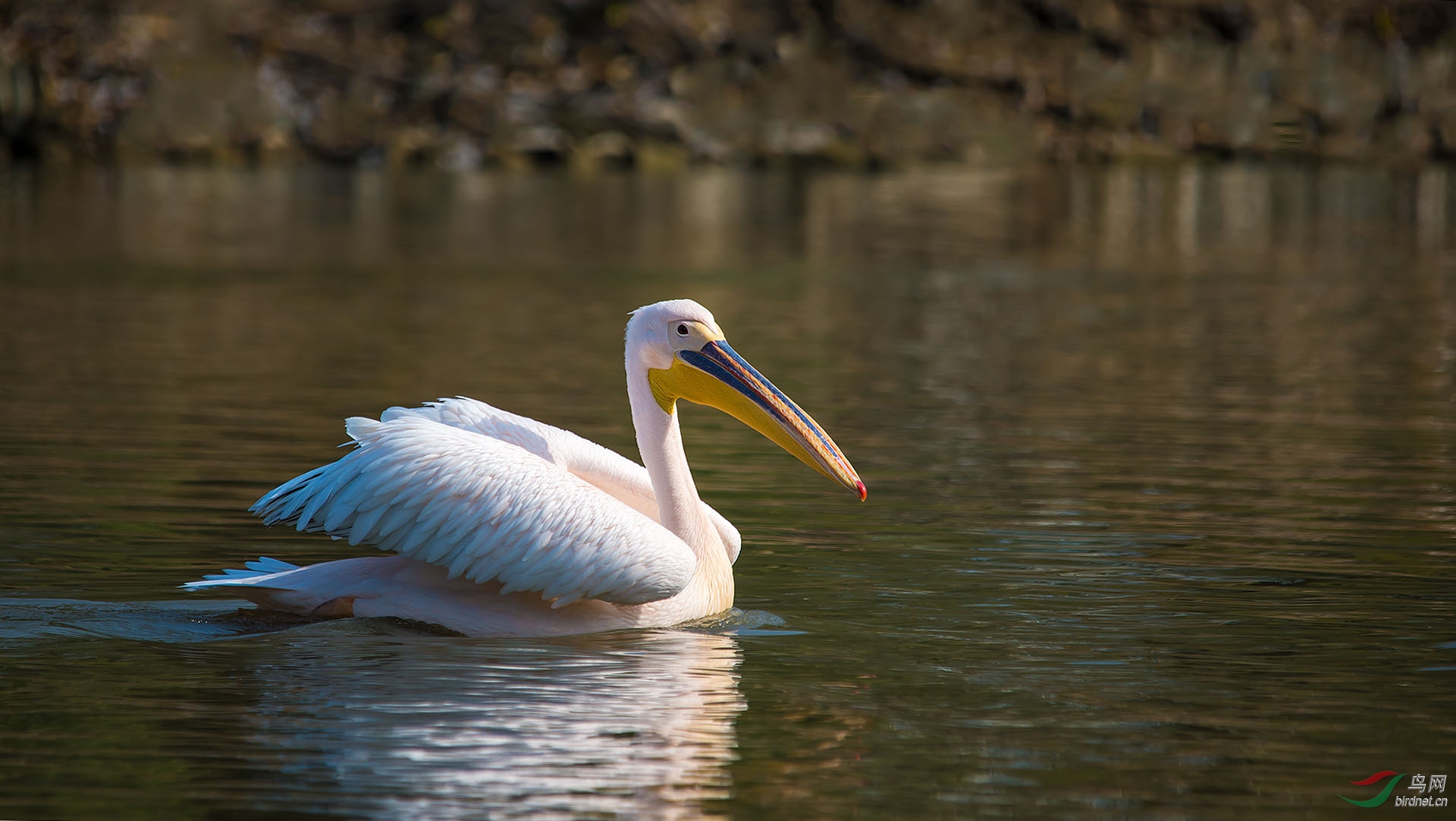DSC_3047.jpg
