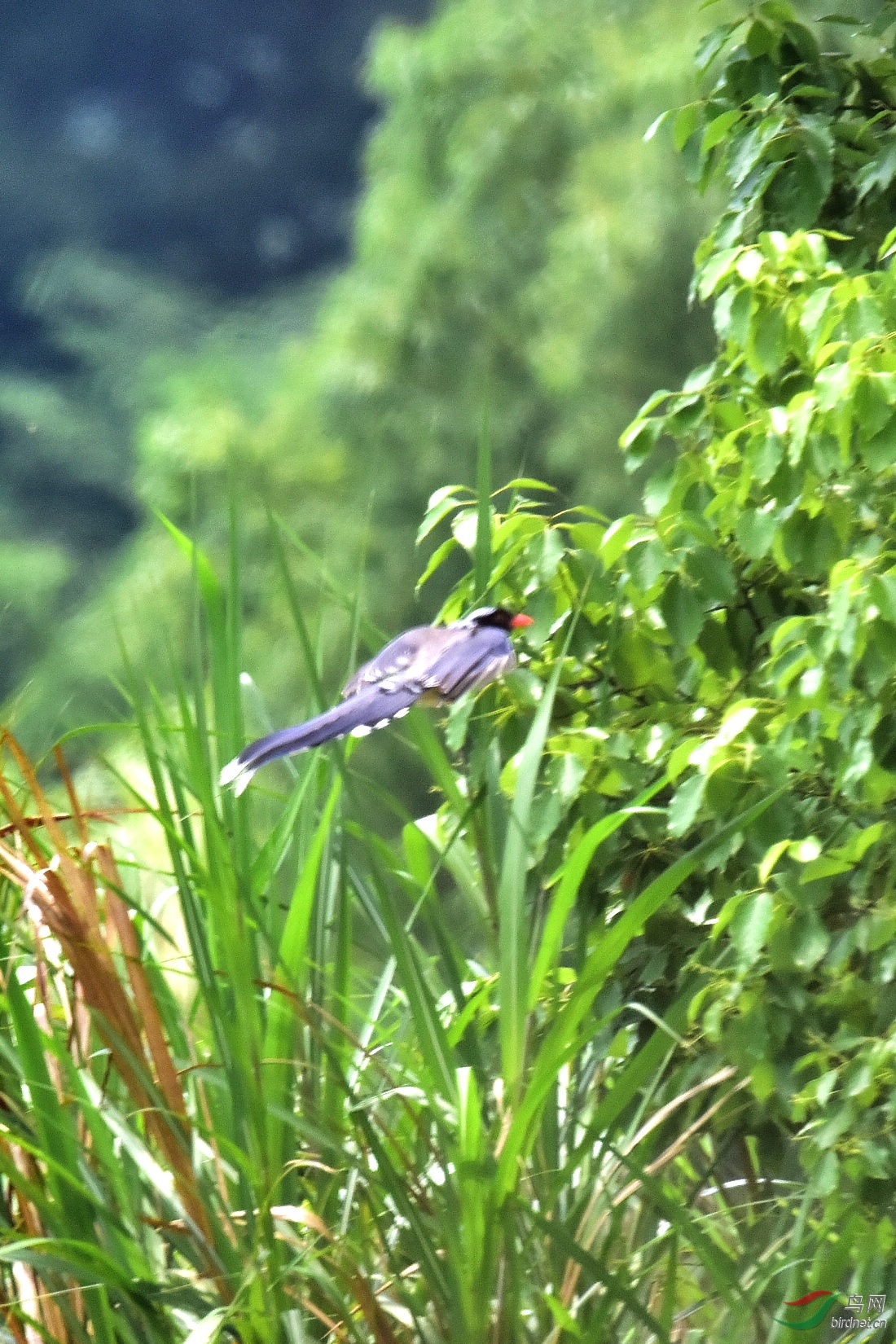 DSC_0840.JPG