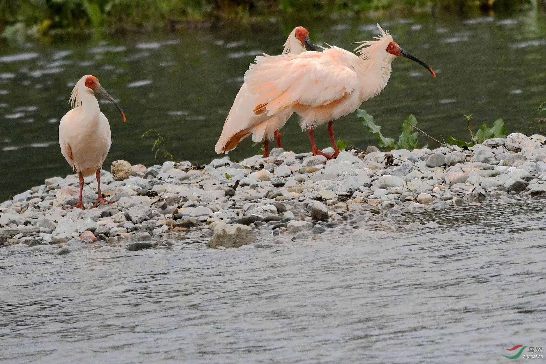 NIKON CORPORATION_NIKON D500_6249648-6252670_000.JPG