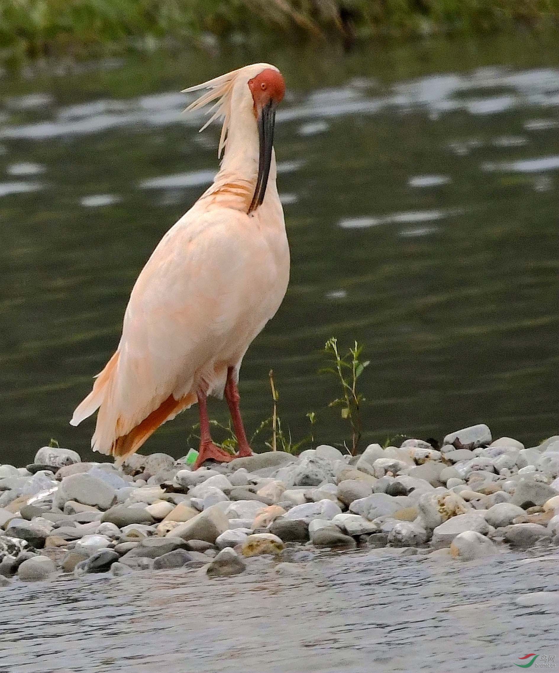 NIKON CORPORATION_NIKON D500_6334096-6337105_000.JPG