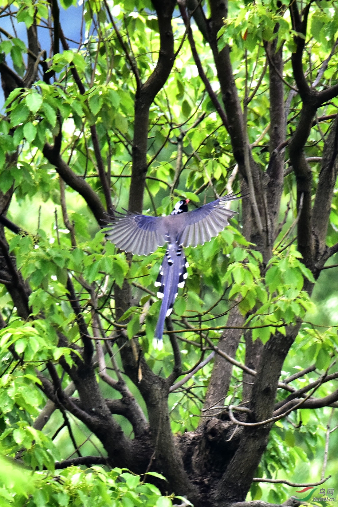 DSC_0842.JPG