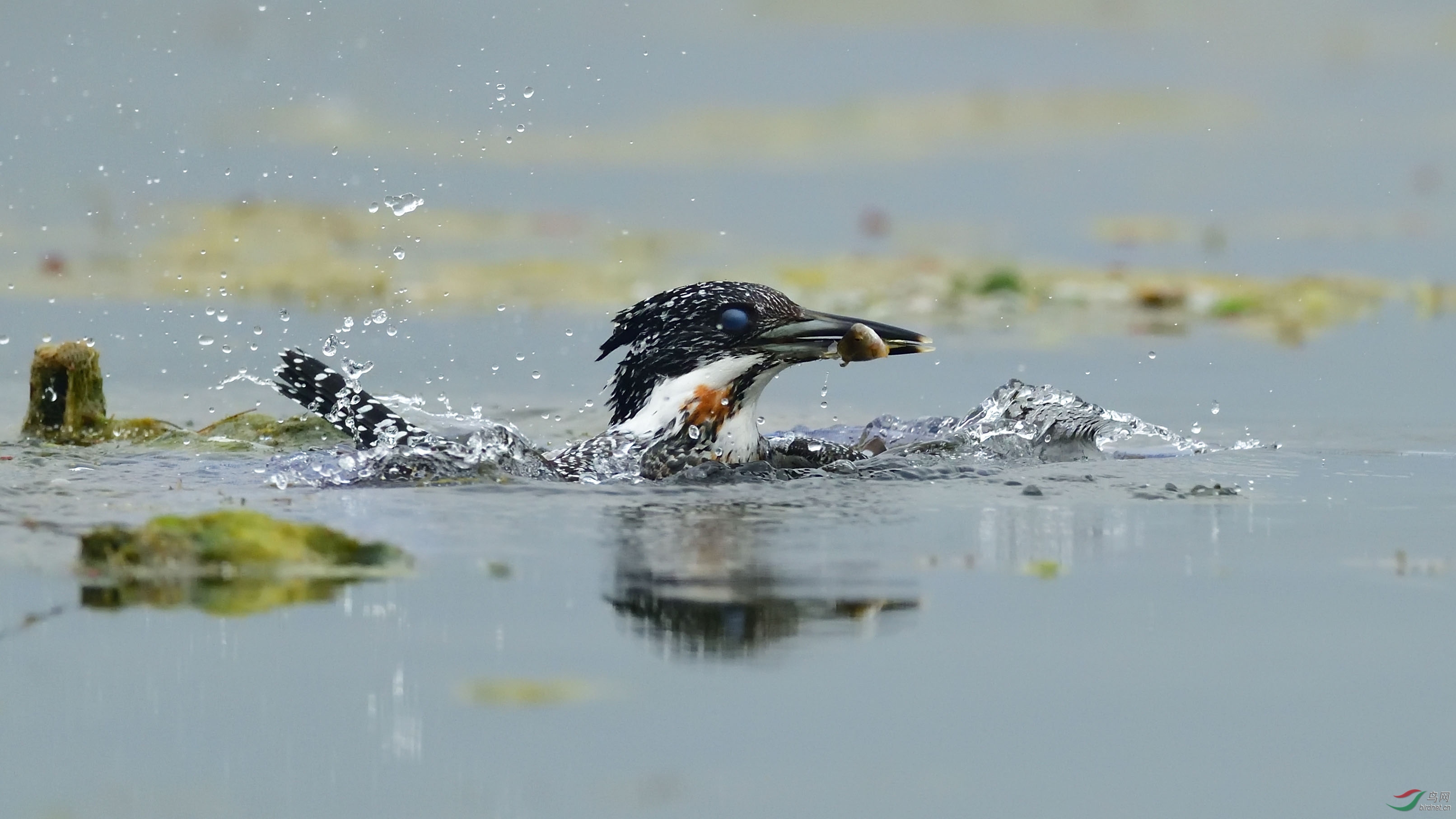 DSC_2722_�������� �ϴ�.jpg